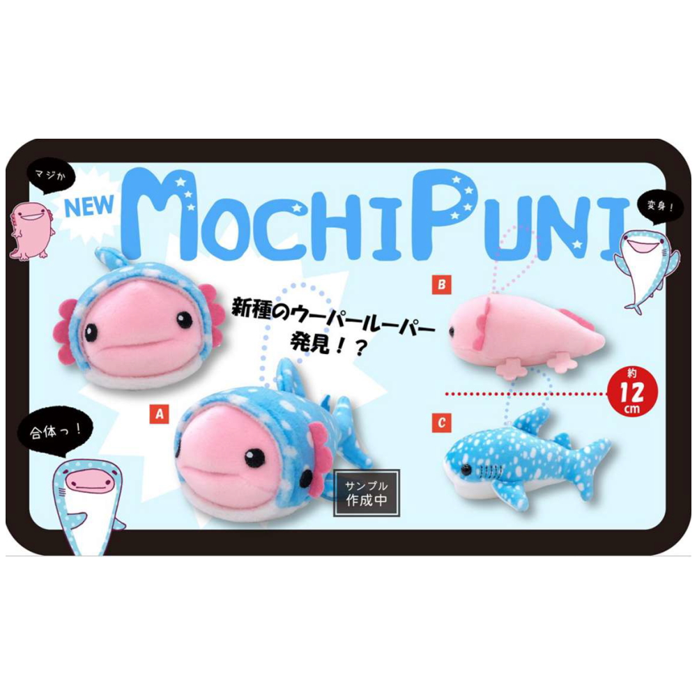 mochi puni shark