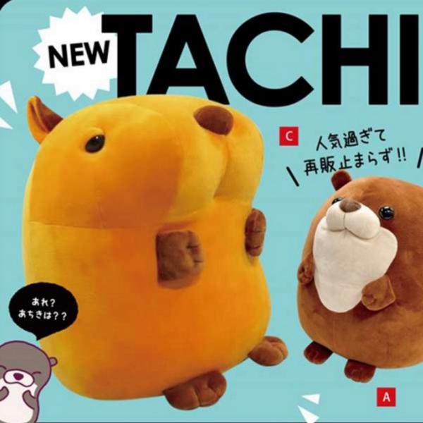 Tachippa Capybara Plush picture