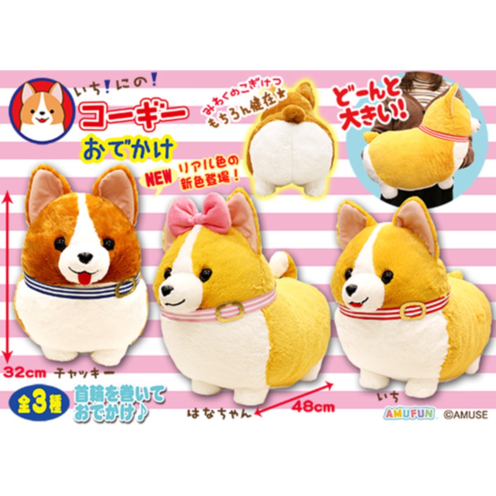 amufun corgi