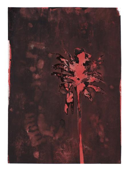 Red Palm Limited Edition Print picture