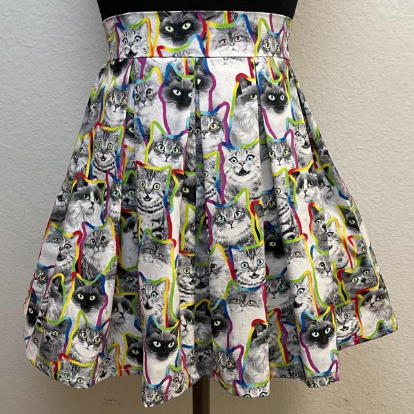 Rainbow Outlines Cats Skirt with POCKETS picture