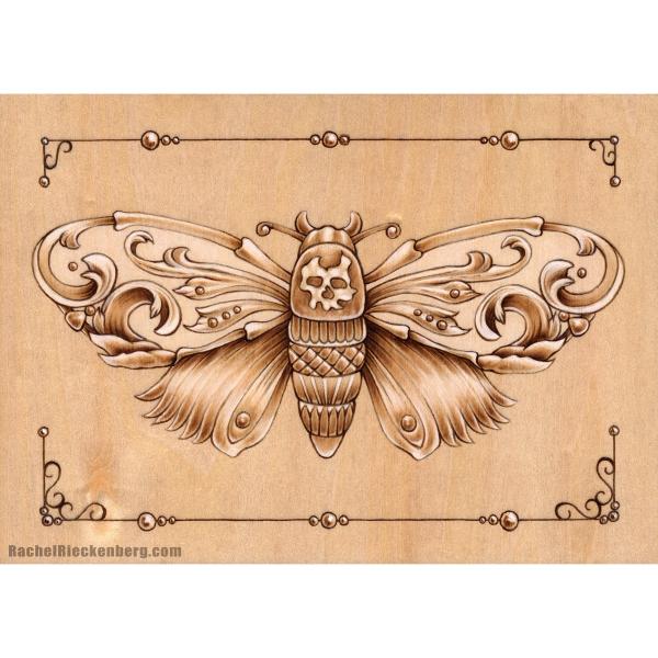 Death Head Moth - Open Edition Print picture