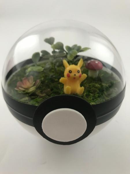 Pikachu Small Pokeball Terrarium picture