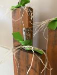 Rustic Orange Block Wood Pumpkins