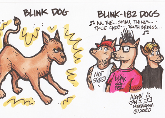 Blink Dog picture