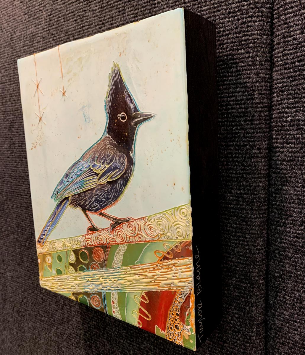 Stellar Jay (8x10) - Eventeny