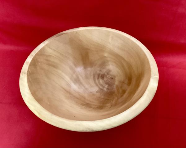 Ginkgo Bowl picture