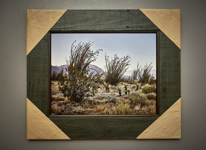 Painted Desert picture