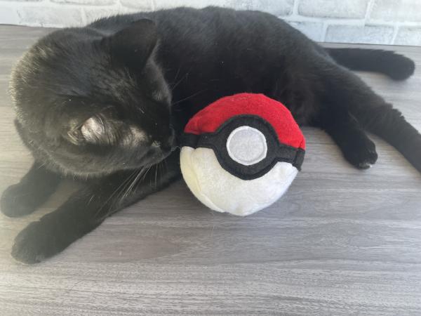 Pokemon Pokeball catnip toy