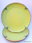 10 Inch Yellow Dinner Plates