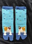 Blue Cat Tabi Socks