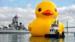 Rubber duck