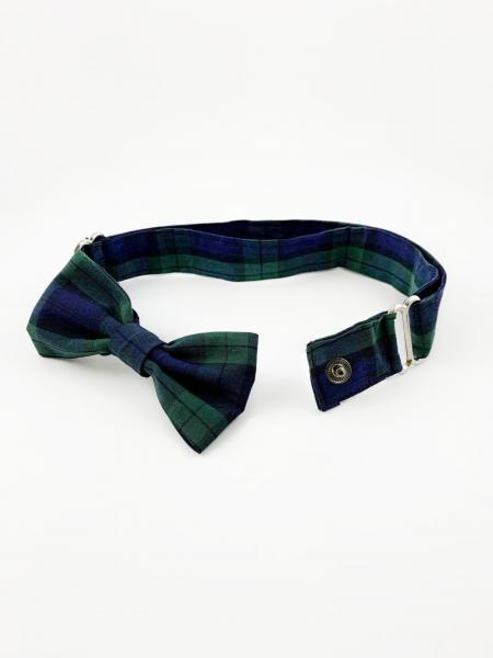 Blue/Green Dog Bow picture