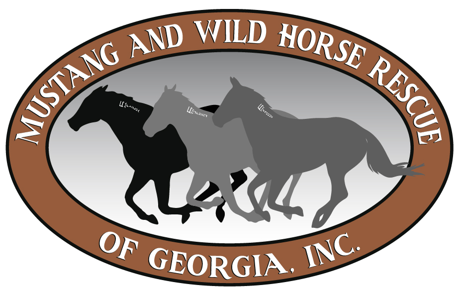 Mustang & Wild Horse Rescue of GA Inc.