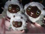 Wooloo plushies | sheep pokemon