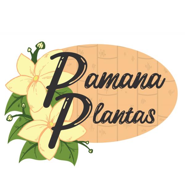 Pamana Plantas