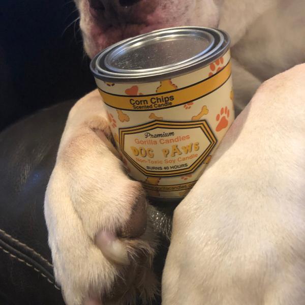 Dog Paws Smell Like Fritos Corn Chips - Corn Chips Scented Candle Soy Wax, Frito Feet picture