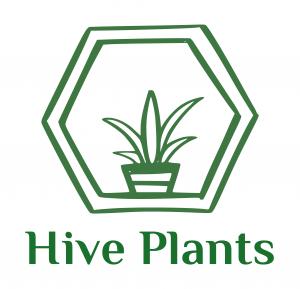 Hive Plants logo