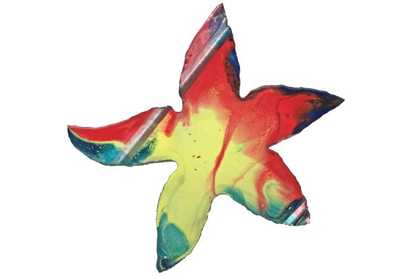 Starfish (19”x19”)