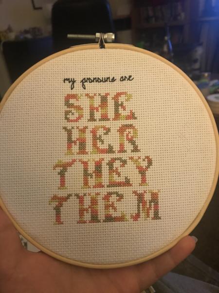 “My Pronouns are She, Her, They, Them” LGBT Pronoun Cross Stitch picture