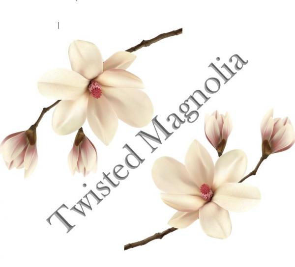 Country Sassy Boutique/Twisted Magnolia