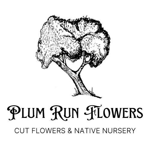 Plum Run Flowers