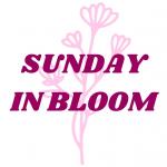 Sunday in Bloom