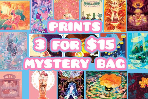 Mystery Prints Bag â™¡ 3 for $15