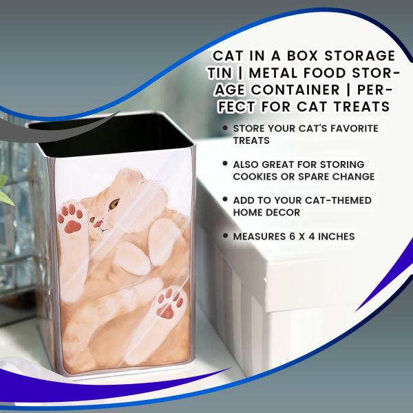 Cat in a Box 6 x 4 Inch Storage Tin w/ Lid picture