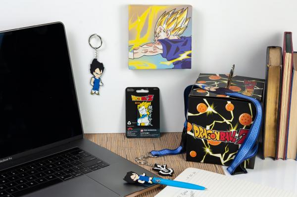 Dragon Ball Z Vegeta Collectors Box | 5 Themed Collectibles picture