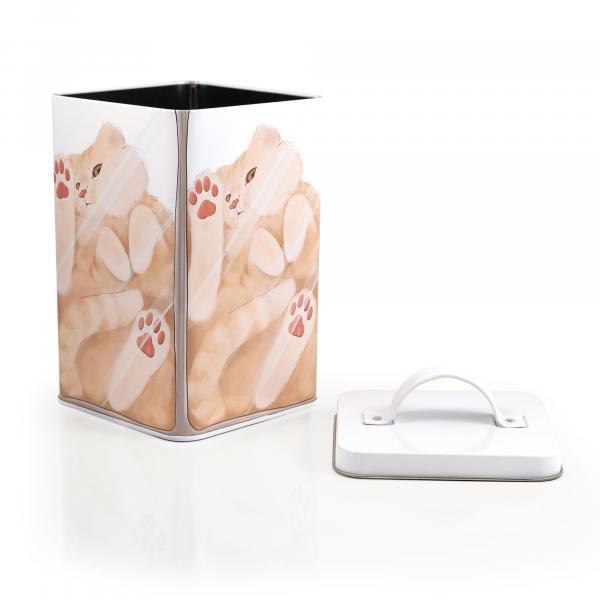 Cat in a Box 6 x 4 Inch Storage Tin w/ Lid picture