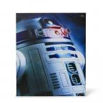 Start Wars 23.9"x19.9" Illuminated Canvas Wall Art: R2-D2