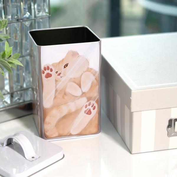 Cat in a Box 6 x 4 Inch Storage Tin w/ Lid picture