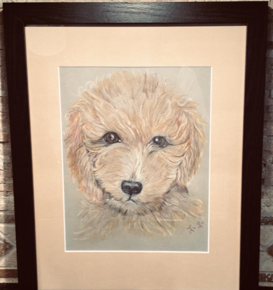 Custom Pastel Pet Portraits of your Pet - Eventeny