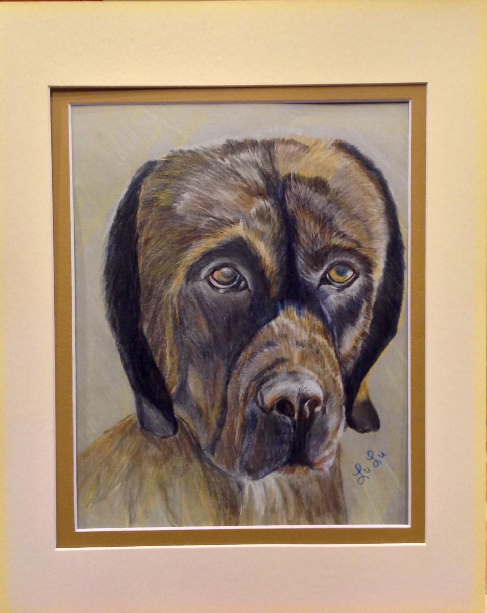 Custom Pastel Pet Portraits of your Pet - Eventeny