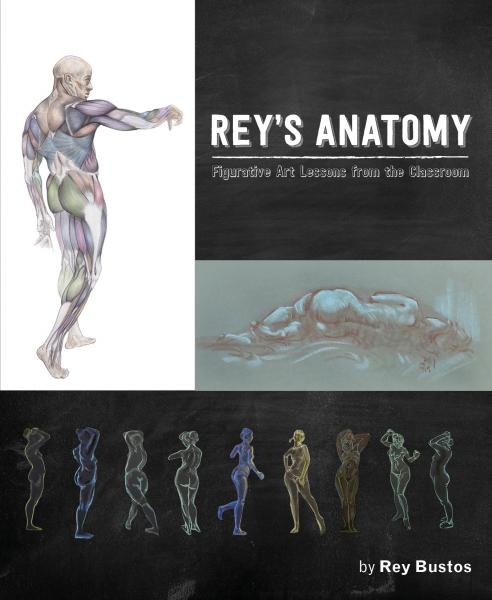 Rey's Anatomy