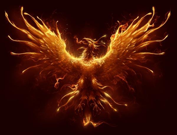 Phoenix Rising