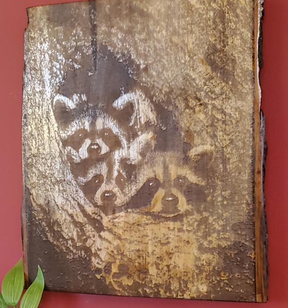 Plaque Carving-Baby Racoons-Maple