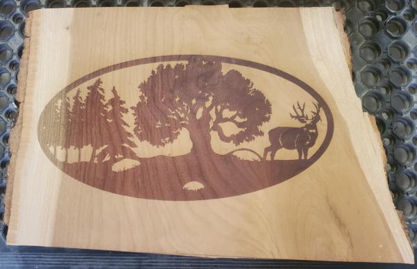 Property Sign-Oval Buck Etching-Cherry