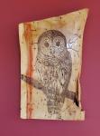 Barn Owl Wall Placque