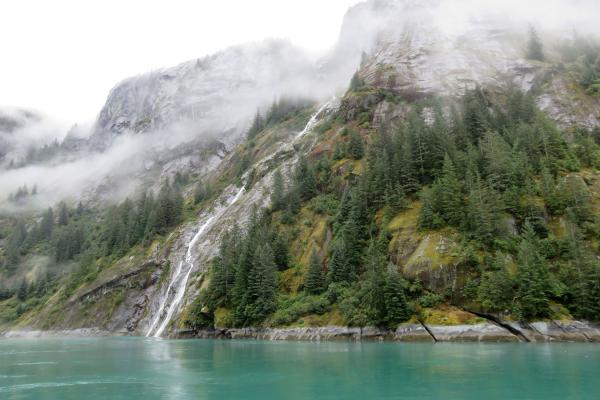 Endicott Arm Fjord Falls, Alaska 16x20 Canvas
