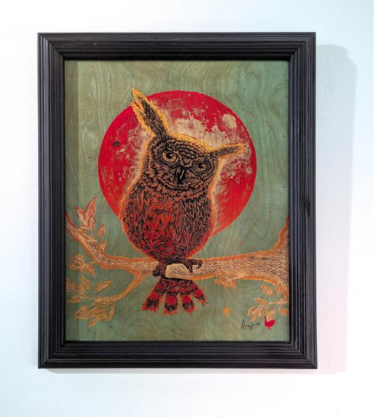 Owl under a blood moon picture