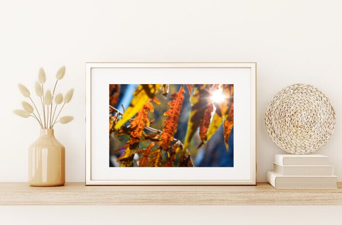 Through The Fallen Leaves - Printed and Matted Photo Taken In New York City