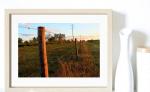 Fenced Sunset - Printed and Matted Photo Taken In Florida