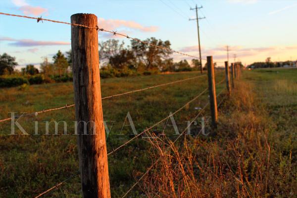 Fenced Sunset - Printed and Matted Photo Taken In Florida picture