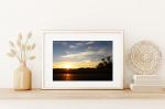 Golden Field - Printed and Matted Photo Taken In Florida