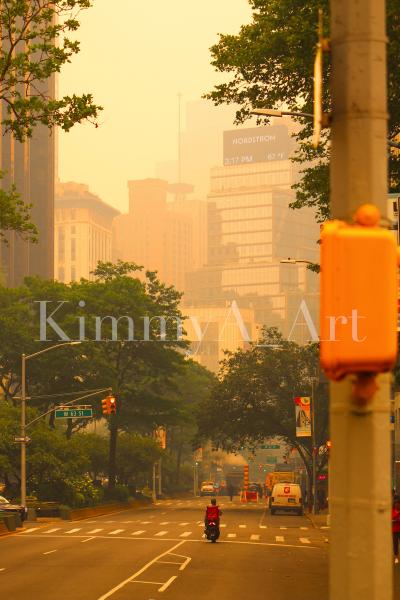 A Barren Corner - Printed and Matted Photo of New York City Covered In Smoke picture