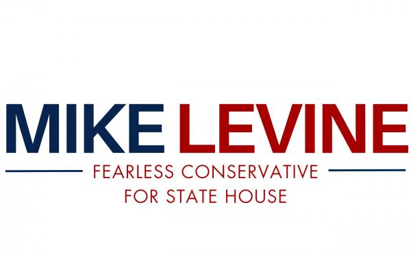 Mike Levine For Florida