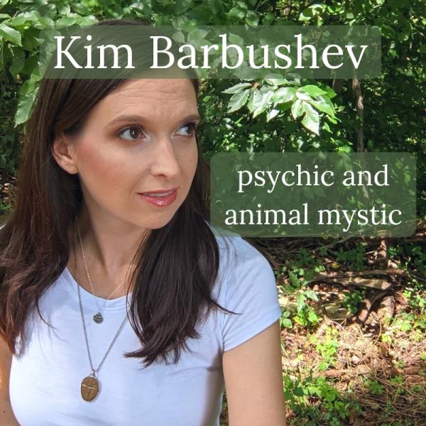 KimBarboo Psychic and Animal Mystic