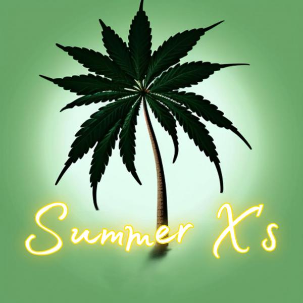 Summer X's F1 Feminized Seeds